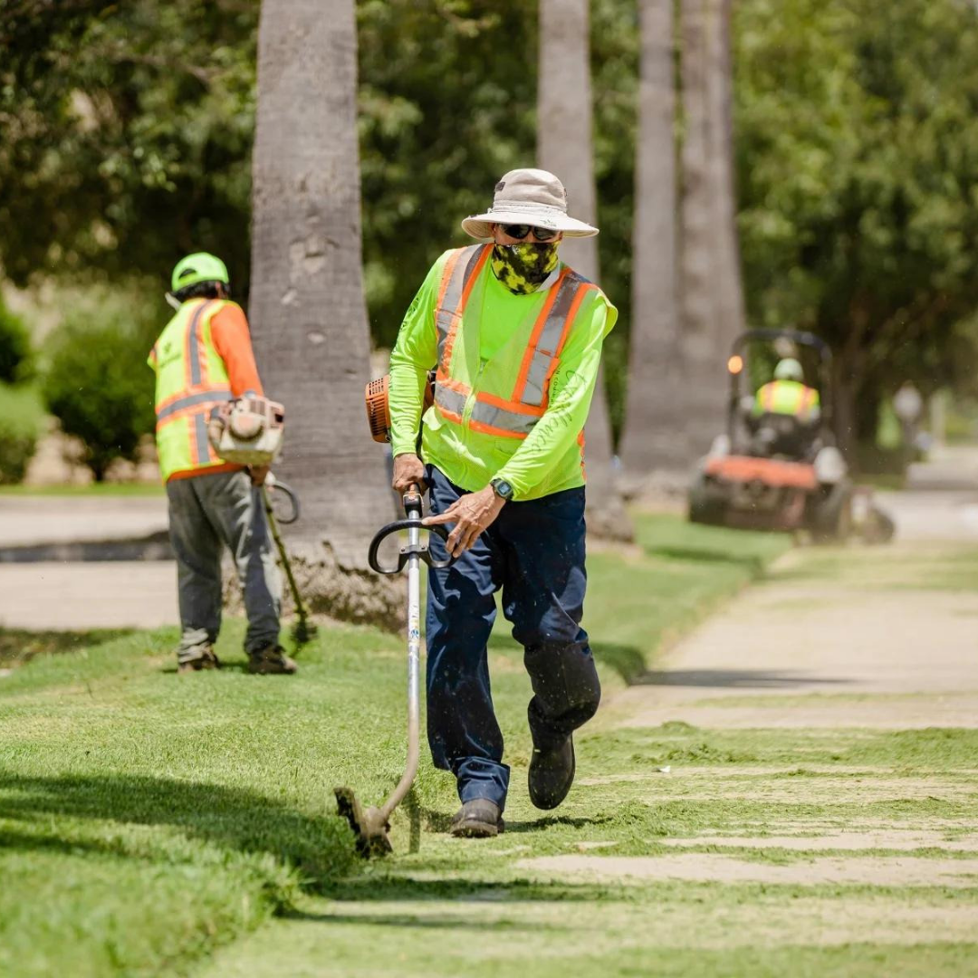 Mantenimiento de areas Verdes